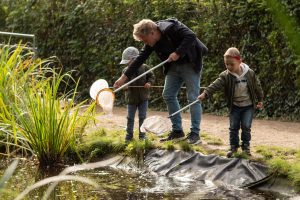 Børn fisker med net i søen